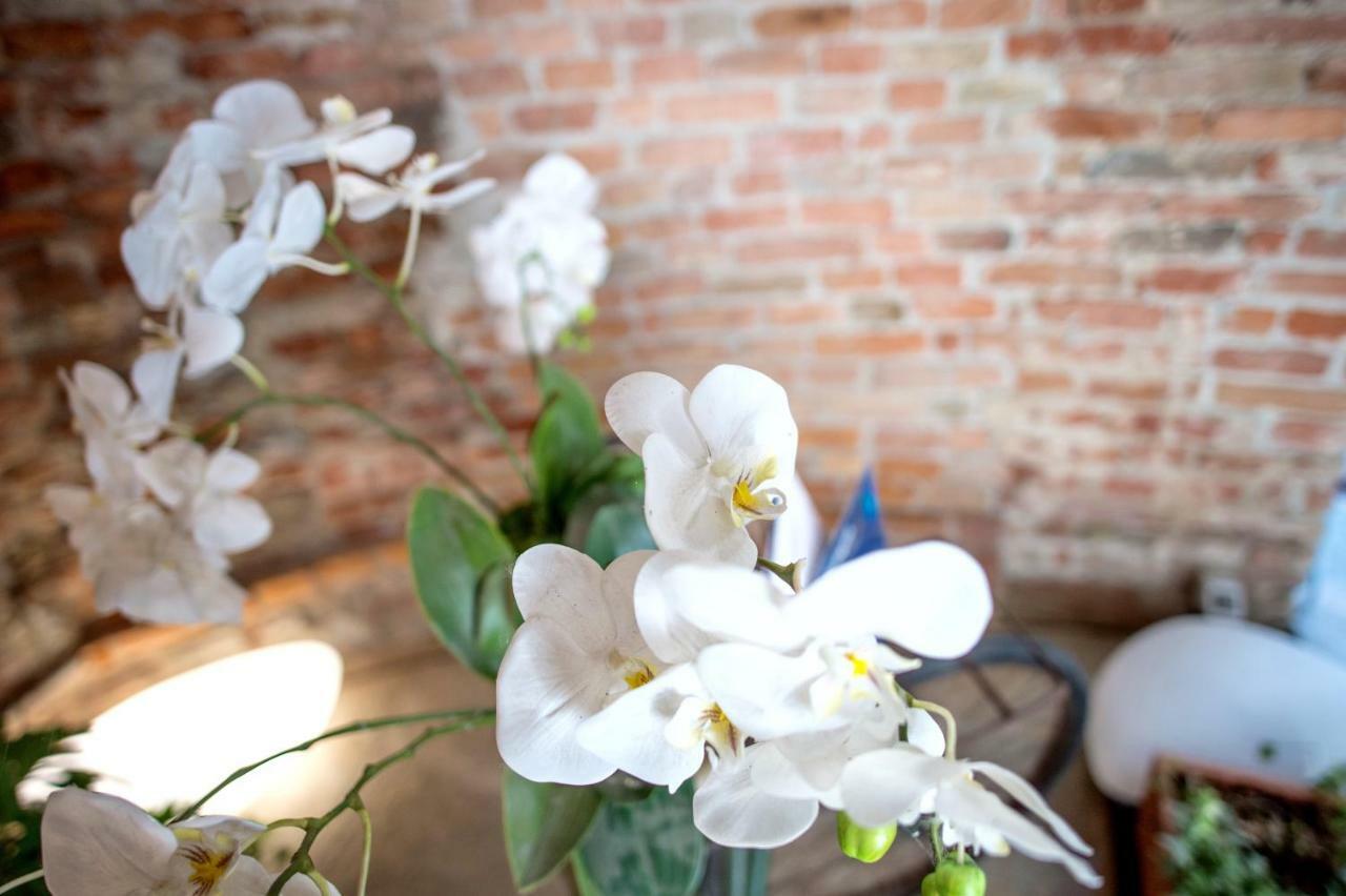 La Canonica - Charming Self-Catering Apartments In Nizza Monferrato Bagian luar foto